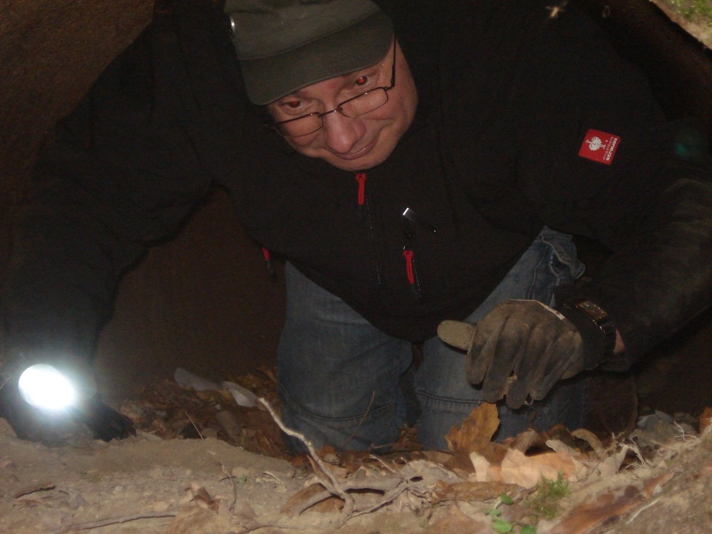 Torsten in Action