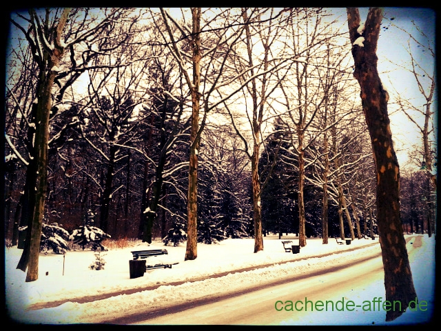 Gelände im Schnee